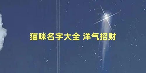 猫咪名字大全 洋气招财